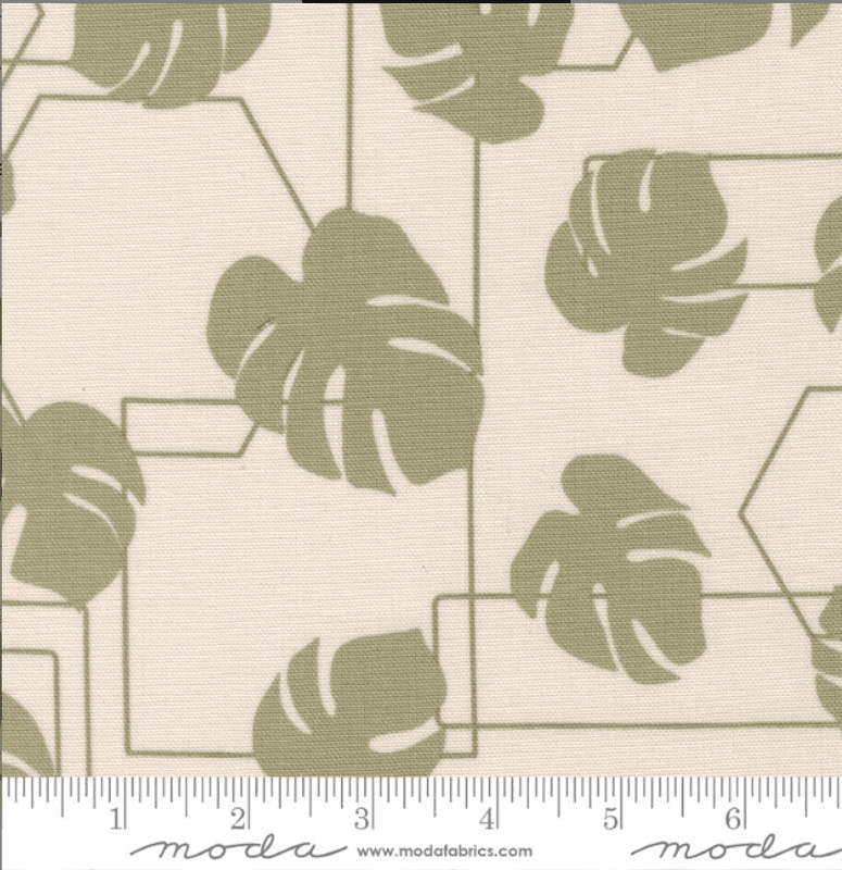 Potted Canvas Stone 26142 12CV