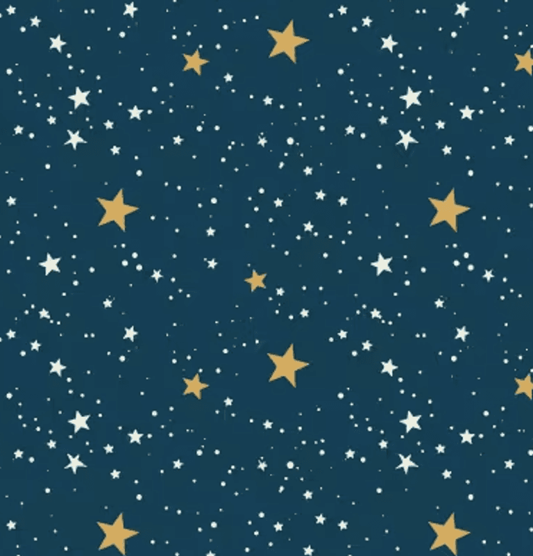 Navy Stars 6 Inch